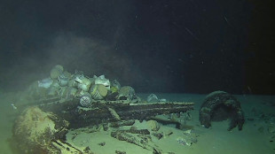 L'&eacute;pave la plus profonde dans les eaux fran&ccedil;aises d&eacute;couverte au large de Ramatuelle