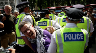 Mehr als 470 Festnahmen bei Protest f&uuml;r verbotene pro-pal&auml;stinensische Gruppe in London