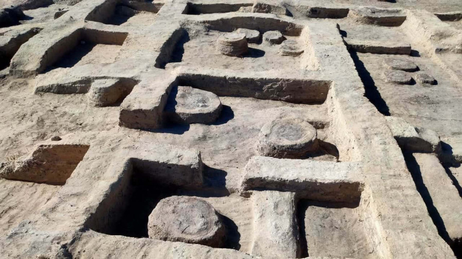 Un cavallo sepolto e la stele di un re rinvenuti vicino ad Alessandria d'Egitto