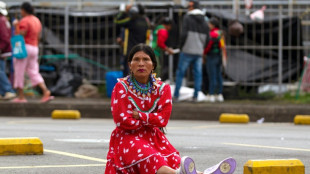 Des milliers d'indig&egrave;nes &agrave; Bogota pour protester contre leur sort dans leur territoire