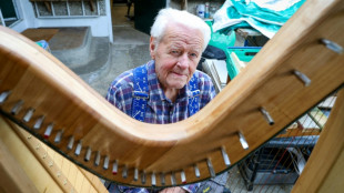 La fabrication de harpes, nouvelle passion d'un octogénaire irlandais