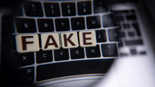 "Matriochka", la nouvelle campagne de d&eacute;sinformation anti-ukrainienne &agrave; destination des m&eacute;dias occidentaux
