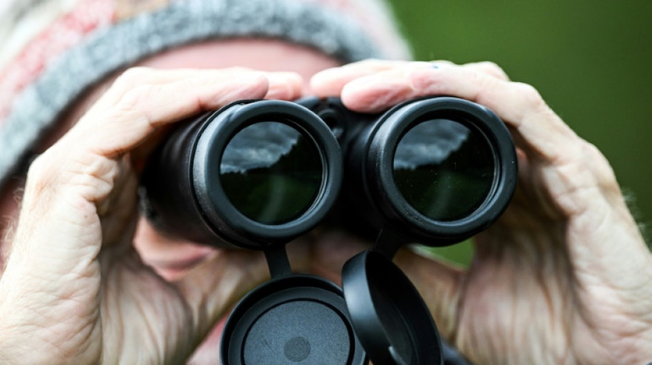 Zahl der Jagdpr&uuml;fungen in Deutschland: Zweith&ouml;chster Wert seit 75 Jahren