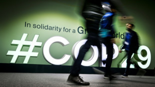 Las naciones m&aacute;s vulnerables al cambio clim&aacute;tico protestan en la COP29 y piden m&aacute;s dinero