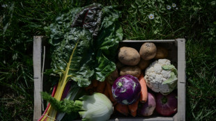 Favoriser l'achat de produits bio pour protéger la femme enceinte et son bébé