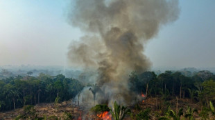 Amaz&ocirc;nia Legal registra quase 3.000 inc&ecirc;ndios, um recorde para o m&ecirc;s de fevereiro