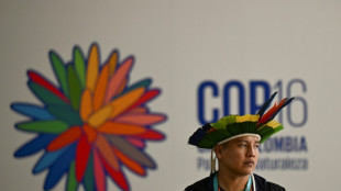 COP16: le chef de l'ONU appelle &agrave; des "investissements significatifs" pour sauvegarder la nature