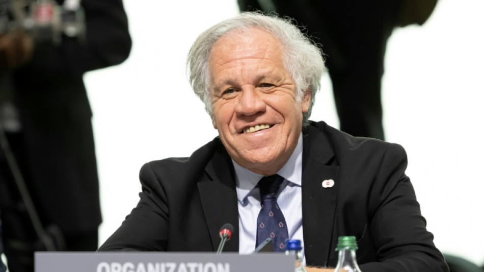 La OEA elegir&aacute; al sucesor de Almagro el 10 de marzo