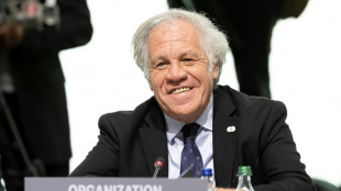 La OEA elegir&aacute; al sucesor de Almagro el 10 de marzo