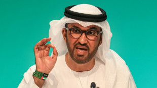 COP-Pr&auml;sident al-Dschaber: "Chance auf Paradigmenwechsel" bei Weltklimakonferenz