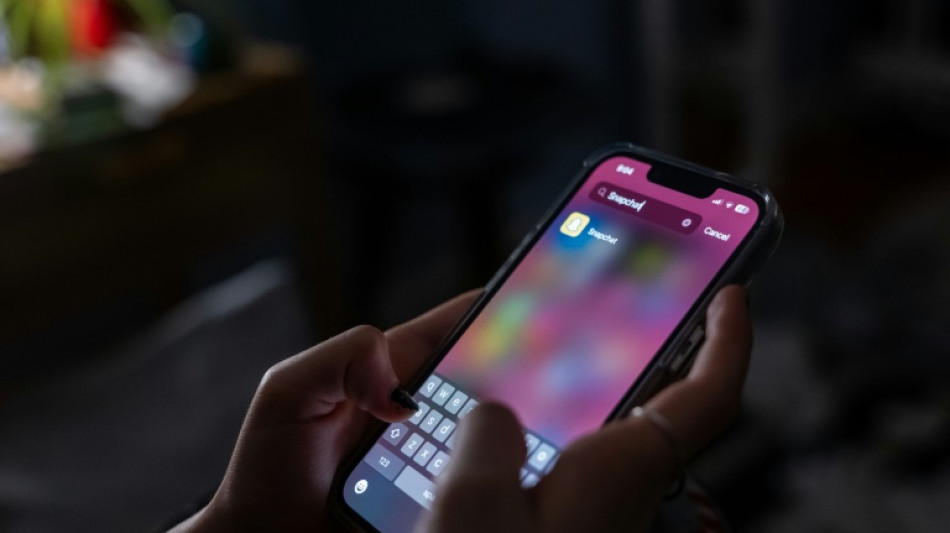 Dutch suggest social media ban for under-15s