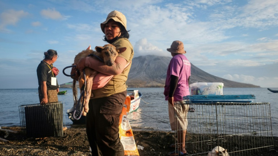 Pr&egrave;s d'un volcan indon&eacute;sien, des b&eacute;n&eacute;voles sauvent les animaux malgr&eacute; l'&eacute;tat d'alerte maximum