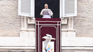 Il Papa, 'ladro chi fa la guerra, ruba un futuro di pace'