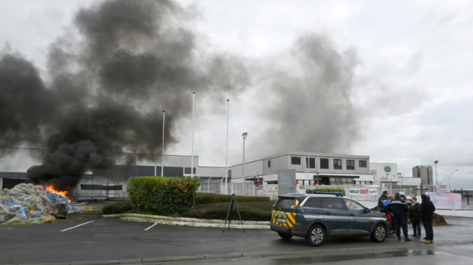 Nestl&eacute; cierra una f&aacute;brica en Francia tras un esc&aacute;ndalo de pizzas contaminadas
