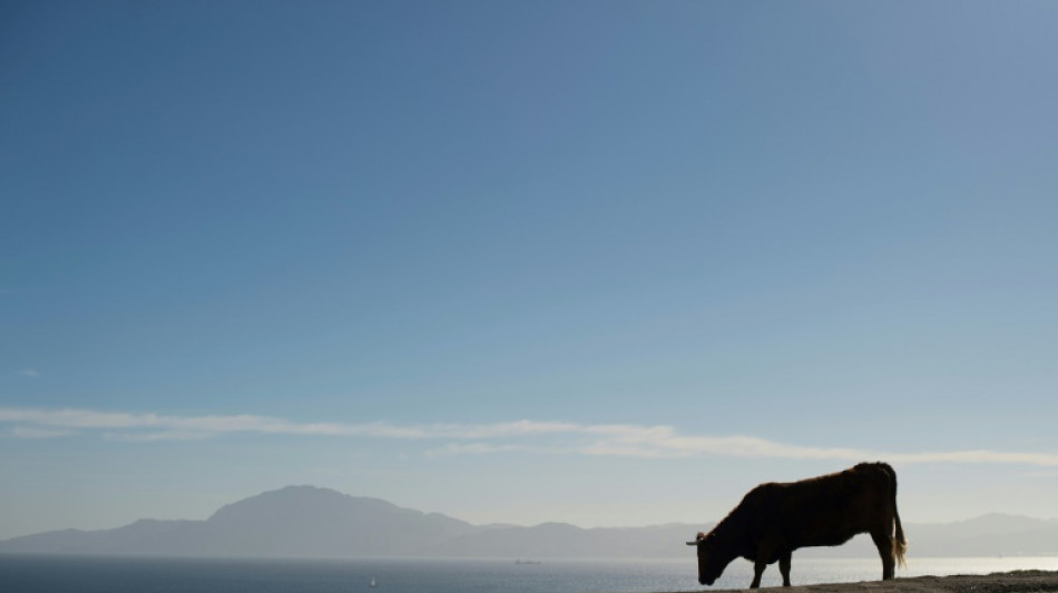 El Mediterr&aacute;neo perdi&oacute; el 70% de su agua hace 5,5 millones de a&ntilde;os