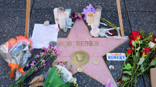 Sohn von get&ouml;tetem US-Regisseur Reiner erscheint vor Gericht