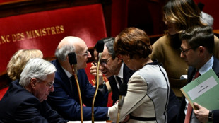Francia se prepara para la ca&iacute;da de su gobierno