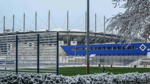 Jogo entre Hamburgo e Leverkusen &eacute; adiado devido a nevasca