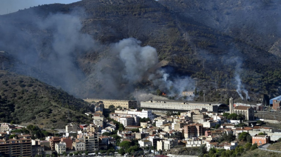 El incendio en la frontera de Espa&ntilde;a con Francia en v&iacute;as de ser controlado