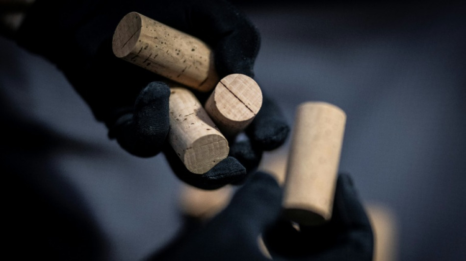 Le Portugal champion mondial du li&egrave;ge, mat&eacute;riau &eacute;cologique en qu&ecirc;te de nouveaux d&eacute;bouch&eacute;s