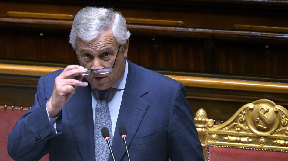 FI apre alle opposizioni sullo Ius Italiae, muro Lega-FdI