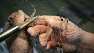 Lunettes made in France: le Jura voit le renouveau poindre &agrave; l'horizon