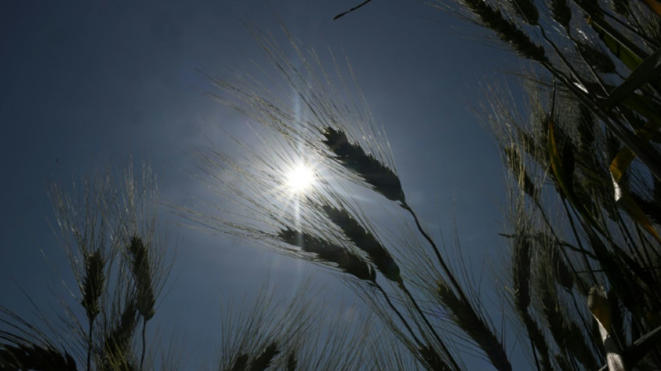 La France traverse une troisi&egrave;me canicule estivale sur fond de s&eacute;cheresse record