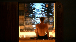 Denmark's election candidates bare all in sauna campaigning