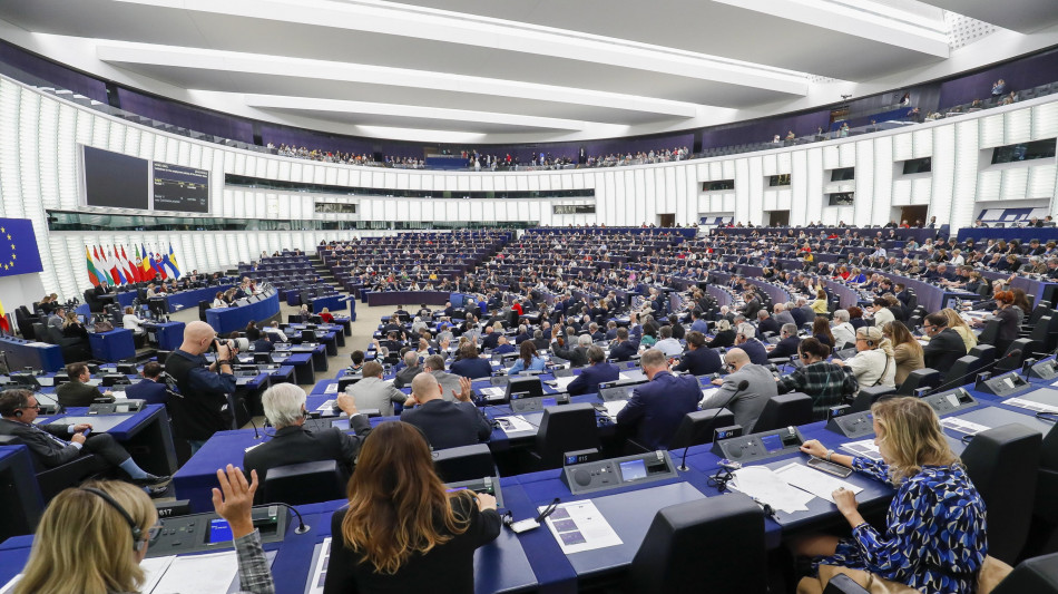 Via libera dall'Eurocamera alla semplificazione della due diligence
