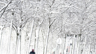 Fortes chutes de neige en Autriche: quatre morts, dont trois dans des avalanches