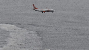 Las compa&ntilde;&iacute;as a&eacute;reas prev&eacute;n beneficios pese a la desaceleraci&oacute;n econ&oacute;mica