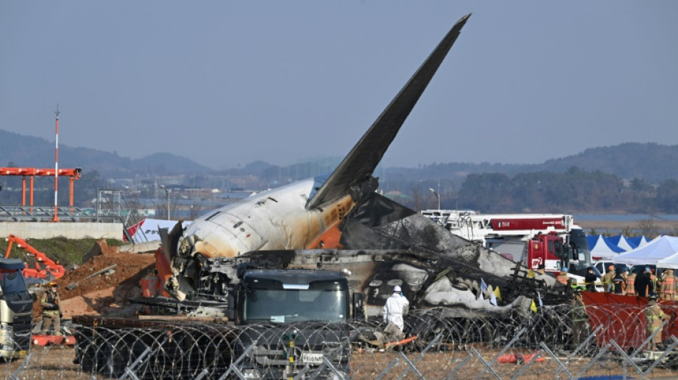 South Korea rival parties form plane crash task force