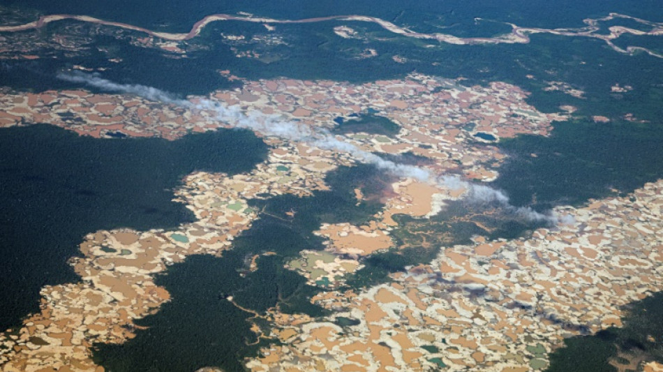 La sed de oro en el mundo consume la Amazon&iacute;a peruana 