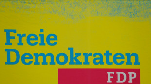 Niedersachsens FDP-Chef Birkner k&uuml;ndigt R&uuml;cktritt an 