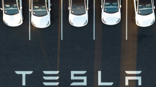 EEUU investiga las funciones de autoconducci&oacute;n de Tesla