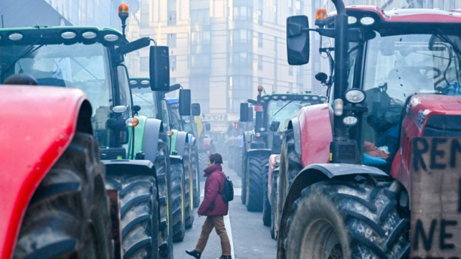 EU-Agrarminister beraten &uuml;ber Antworten auf Bauernproteste