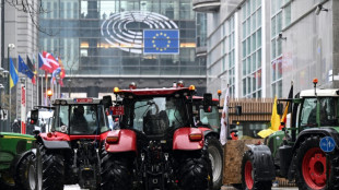 Col&egrave;re agricole: Bruxelles propose de d&eacute;tricoter les r&egrave;gles vertes de la PAC