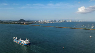 EEUU asegura que sus buques no pagar&aacute;n por cruzar el canal de Panam&aacute;, que lo desmiente