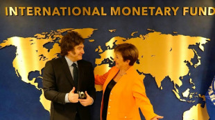 El FMI aprueba el desembolso de unos 2.000 millones de d&oacute;lares a Argentina