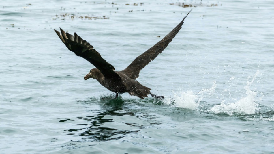 19 Milliarden Dollar f&uuml;r Schutz der Meere bei Konferenz in Panama zugesagt