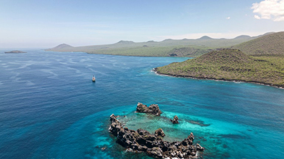 Ciencia y pol&iacute;tica juntas para proteger oc&eacute;anos, destacan en foro previo a cumbre ONU