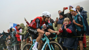 Tour de France: un Vauquelin accrocheur en apprentissage acc&eacute;l&eacute;r&eacute;