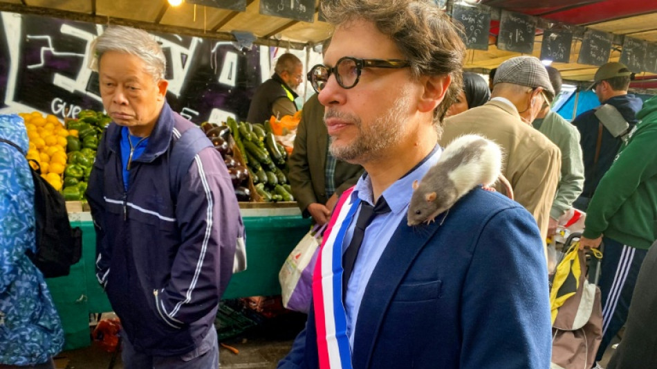 Las ratas de París encuentran un aliado político inesperado