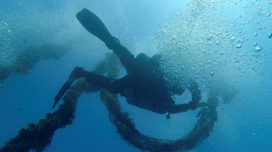 Bergung von 400 Jahre altem Schiffswrack in Travem&uuml;ndung vor L&uuml;beck begonnen