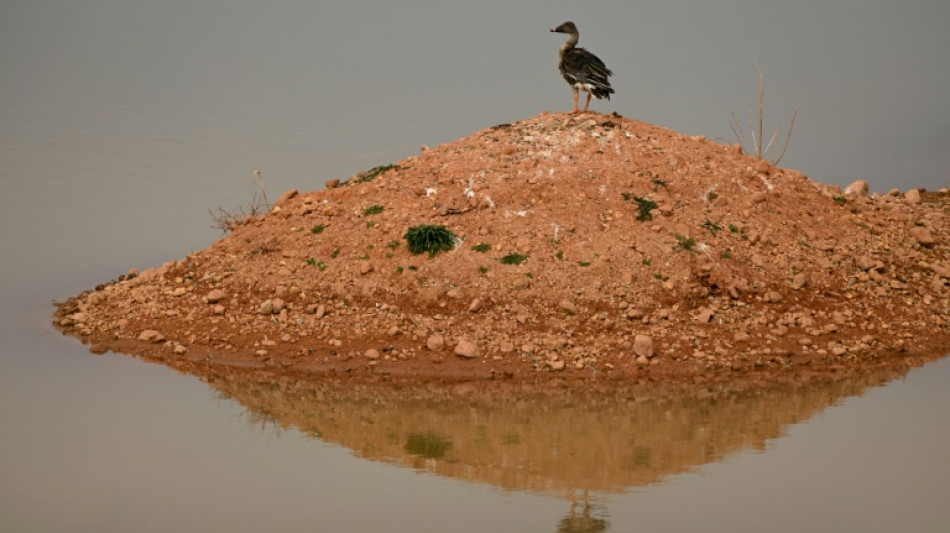 En Chine, un projet de barrage controvers&eacute; menace le refuge d'oiseaux migrateurs