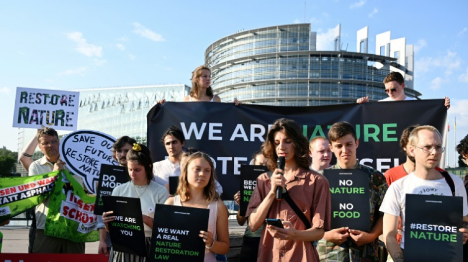 Restauration de la nature: l'heure de v&eacute;rit&eacute; pour un pilier du Pacte vert europ&eacute;en