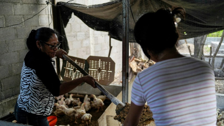 Filhos de detidos, v&iacute;timas invis&iacute;veis da guerra contra gangues em El Salvador