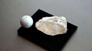 Segundo maior diamante do mundo pode virar peça de museu