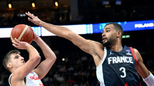 NBA: Luwawu-Cabarrot et Tillie sans contrat avant le d&eacute;but de la saison