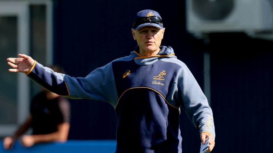 Schmidt backs 'scavenger' Champion De Crespigny against Lions